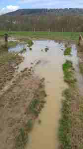 20160409_121822-min1