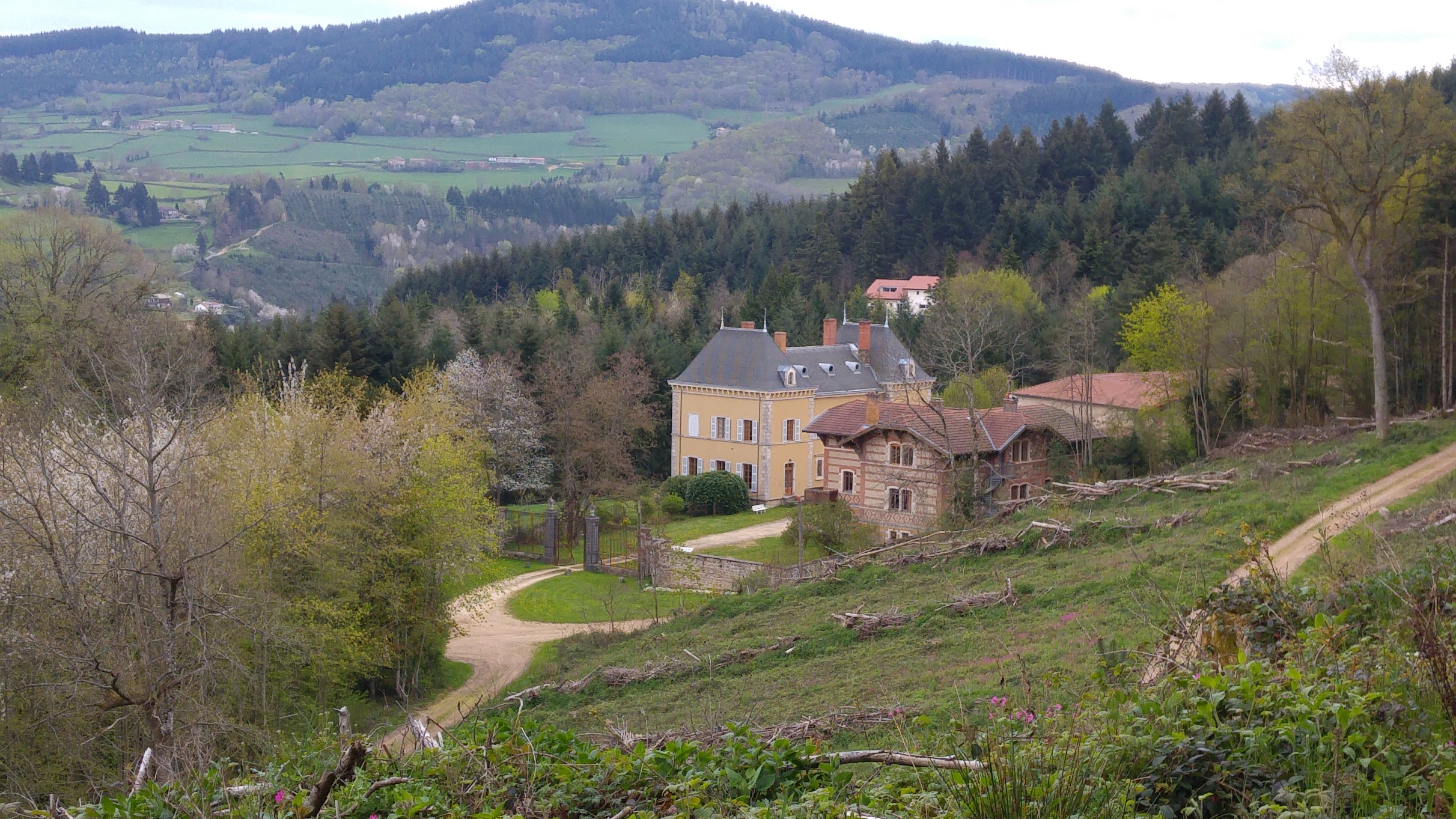 20160425_153410 (2).jpg